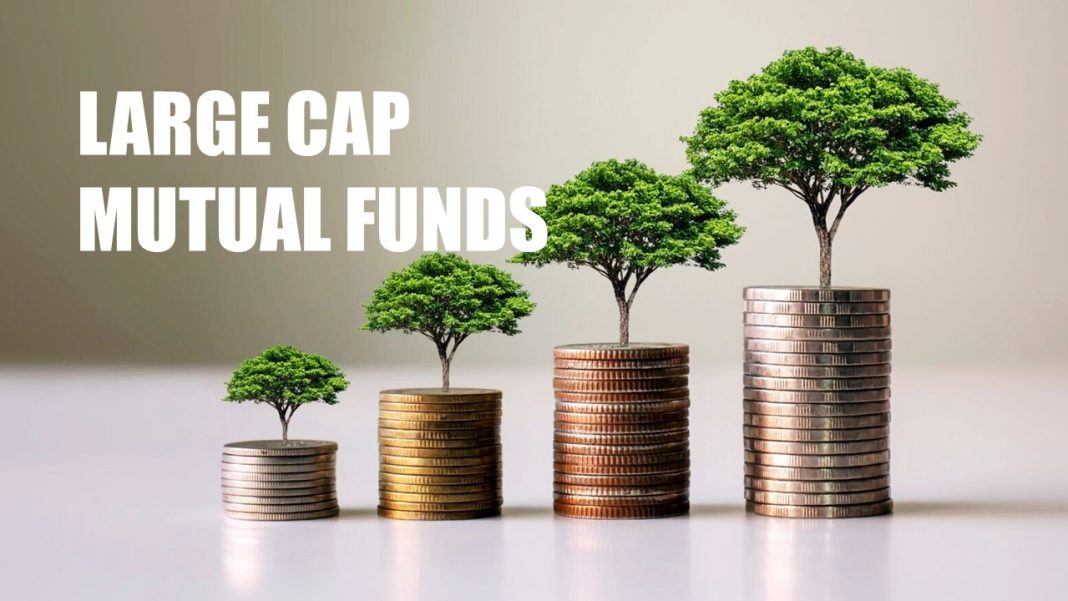 Top Large Cap Mutual Funds to Invest in September 2024
