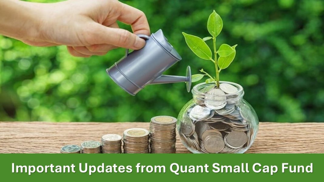 Quant Small Cap Fund