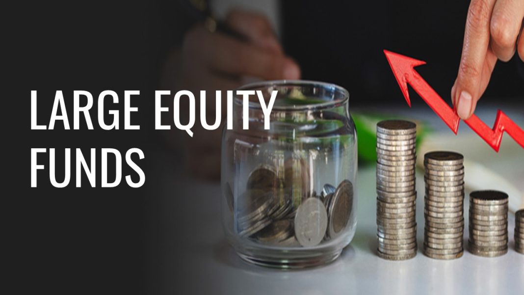 Top 5 Large Equity Funds with Returns of 19% in 5 Years